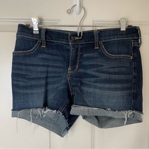 Hollister Shorts (Low Rise 5”)